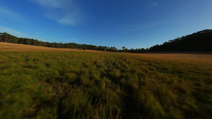 澳大利亚的葡萄园。无人机拍摄的视频。