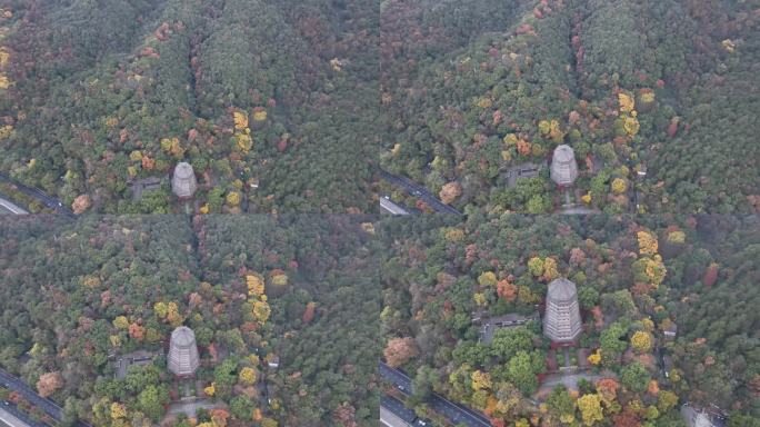 航拍杭州六和塔秋天七彩山林树林实拍原素材