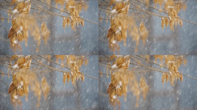 升格雪花飘落慢镜头 鹅毛大雪