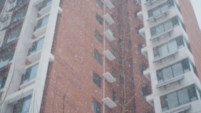 下雪大雪小区空镜