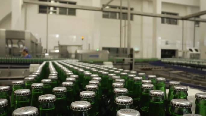 青岛啤酒厂 啤酒生产过程