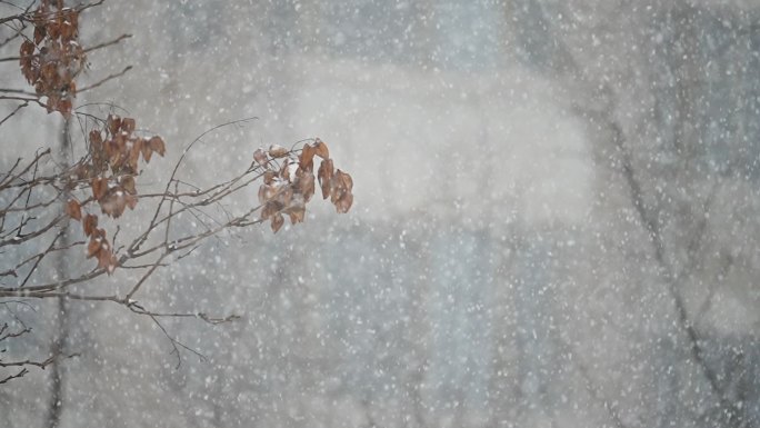 升格雪花飘落慢镜头 鹅毛大雪