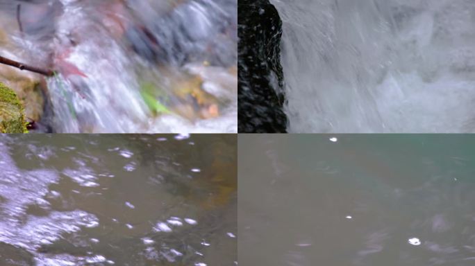杭州植物园小溪流水风景视频素材409