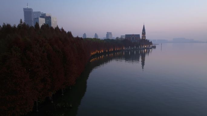 白鹭园 航拍 落日 夕阳 水杉林 秋天