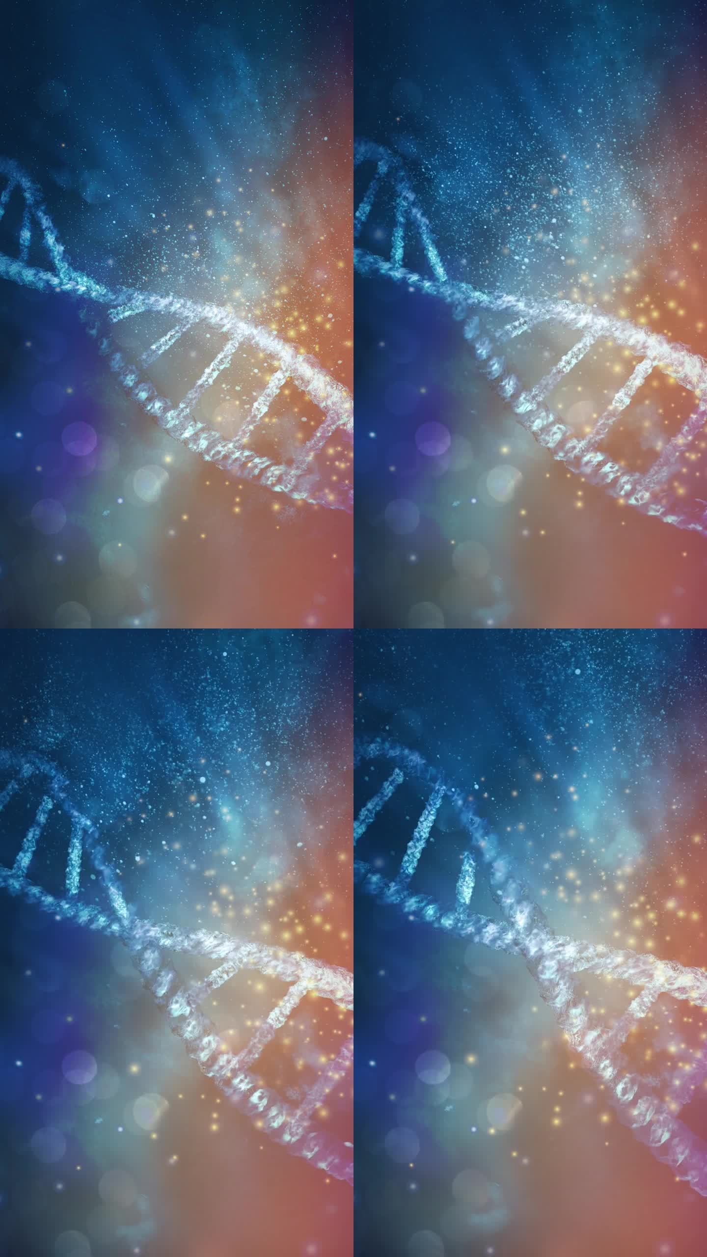 DNA链破坏瞬间的动画。