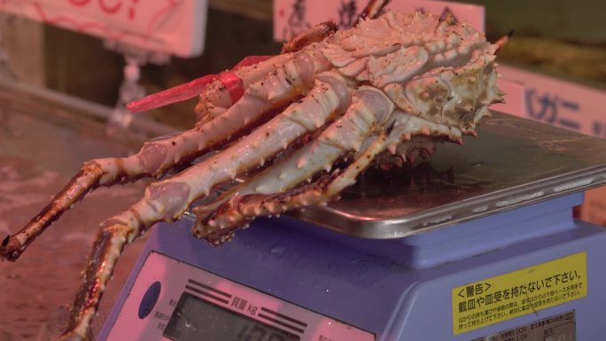 在函馆浅一鱼市，一名商人正在给新鲜的帝王蟹称重