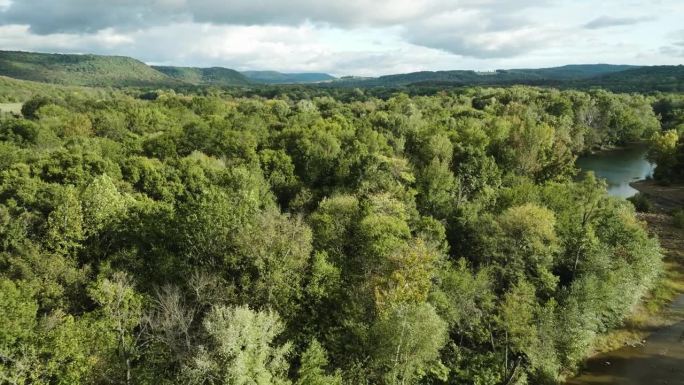 灌木灌丛和湿地俯瞰山脉在达勒姆，阿肯色州，美国。航拍特写