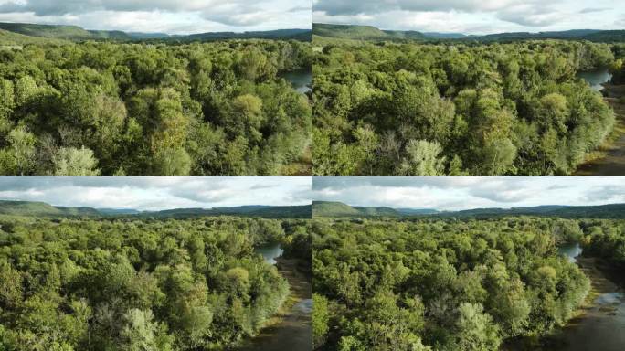 灌木灌丛和湿地俯瞰山脉在达勒姆，阿肯色州，美国。航拍特写