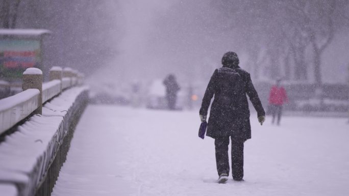 大雪中背影