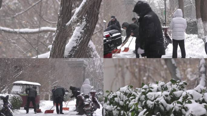 冬天下雪雪花飘飘立冬季节清理积雪风雪满天