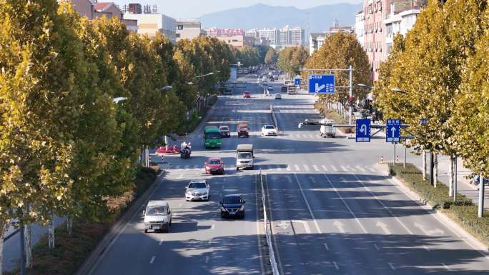 秋季沿街道路航拍素材