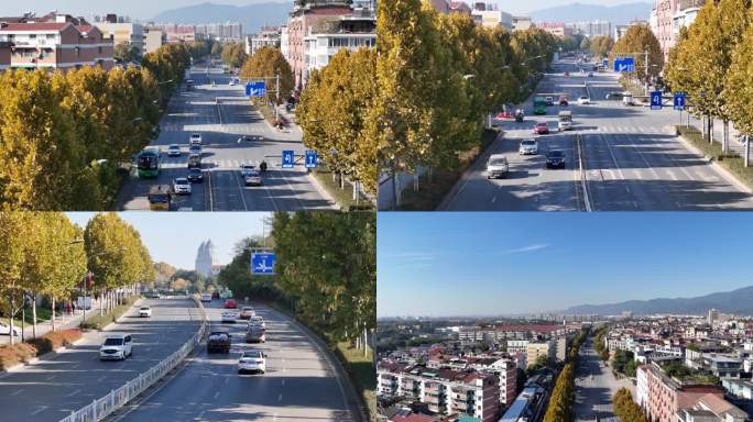 秋季沿街道路航拍素材