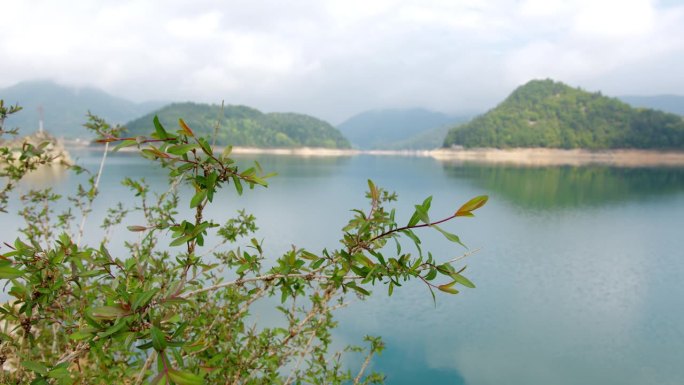 在美丽的湖和云中的小山前面，有绿色的树枝