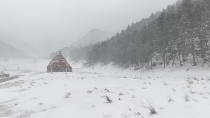 雪景4