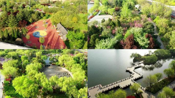 航拍枣庄春天的公园龙潭和凤鸣湖