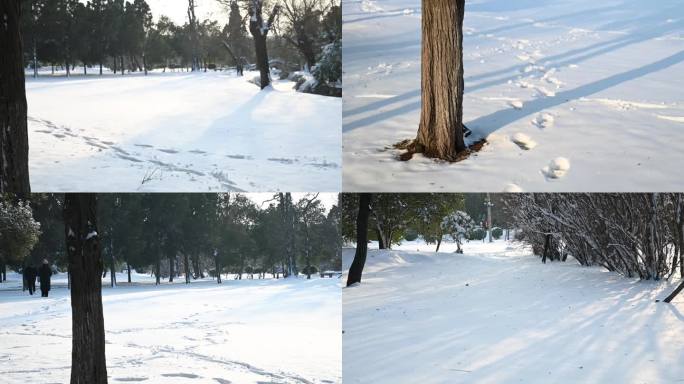 雪景 立冬 小雪 大雪 冬至 小寒 大寒