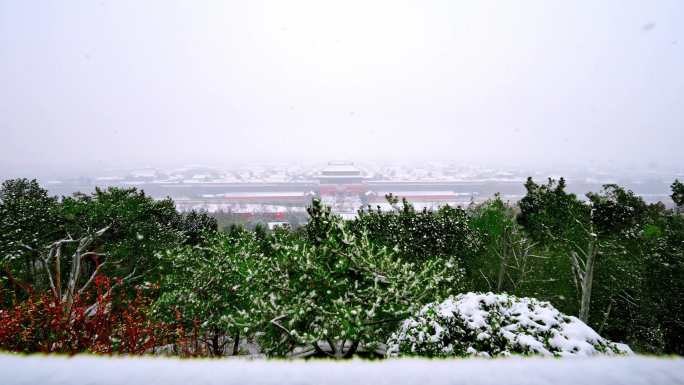 8条4K100帧北京故宫紫禁城雪景视频