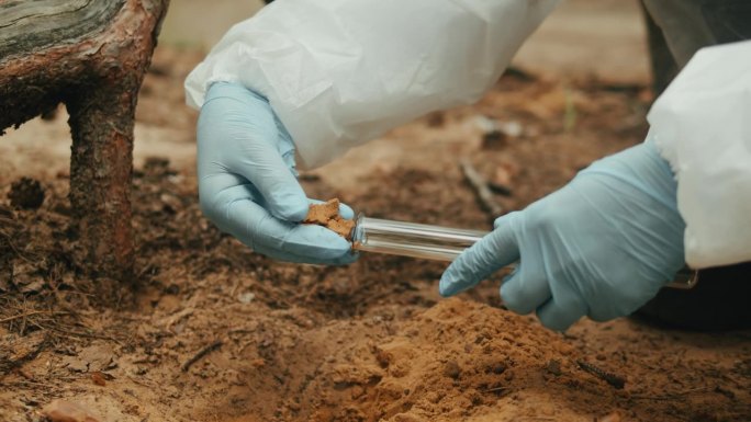 森林土壤探测仪，地质工作者用科学仪器对土壤探测仪进行测量。自然界的化学家。