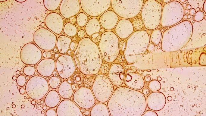 透明化妆品凝胶流体与分子气泡油分布。显微镜下的细胞泡簇。天然有机化妆品、药品微距拍摄。生产特写。缓慢