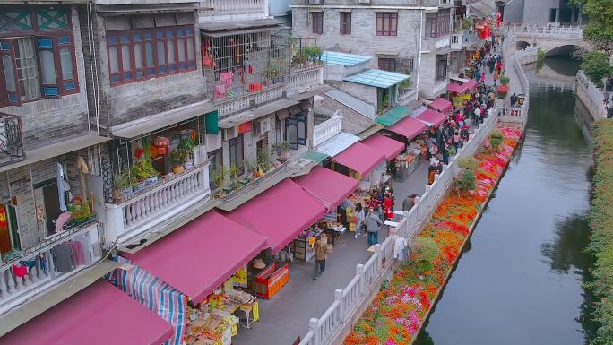 广州花城勒杜鹃杜鹃花