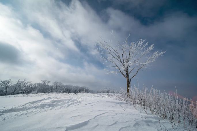 东北冬季高山上雾凇树挂延时