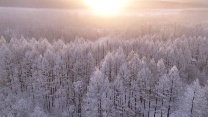 林海雪原雾凇暖阳