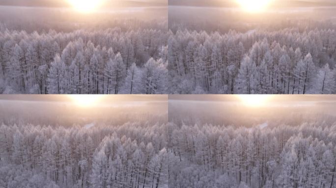 林海雪原雾凇暖阳