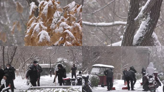 冬天雪花飘飘立冬小区居民清理积雪风雪满天