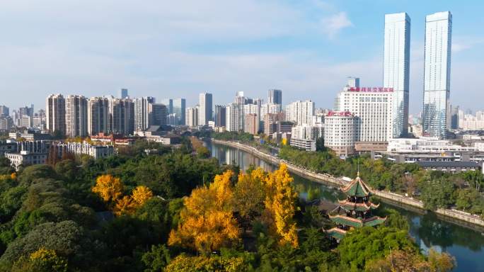 成都秋天阳光金黄的银杏点缀着城市公园风景