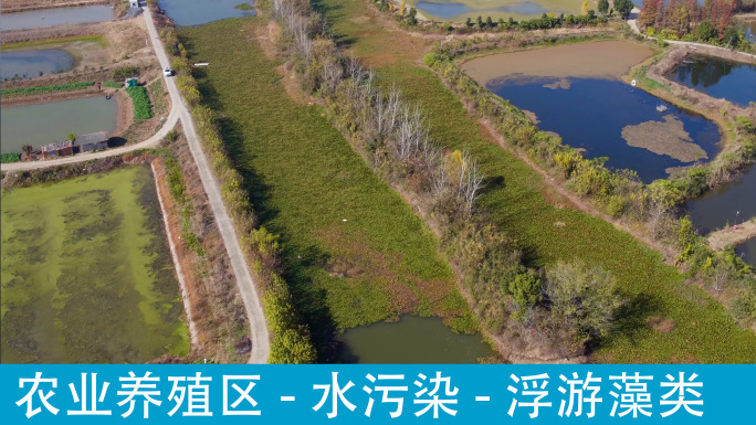 武汉泵站河水产养殖区水污染
