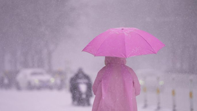 大雪天街道 各行业行人