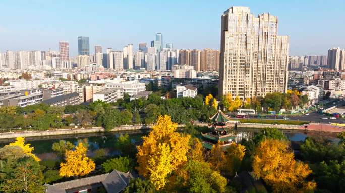 成都秋天阳光金黄的银杏点缀着城市公园风景