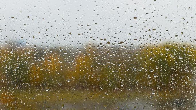 阴天里黄色森林的背景是秋天玻璃窗上的雨滴。文本的复制空间，九月