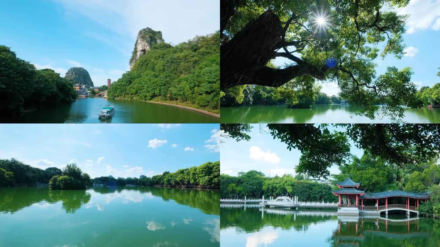桂林两江四湖公园湖边树荫风景