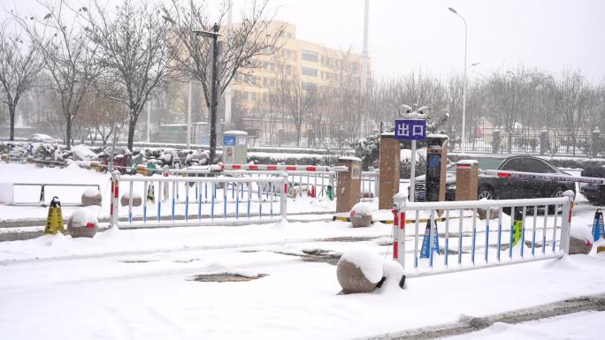 城市大雪出行 石家庄雪景  雪天出行