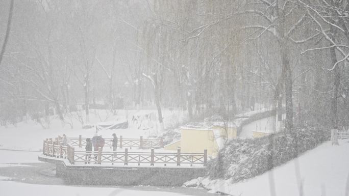 圣诞节飘雪 升格雪花飘落慢动作