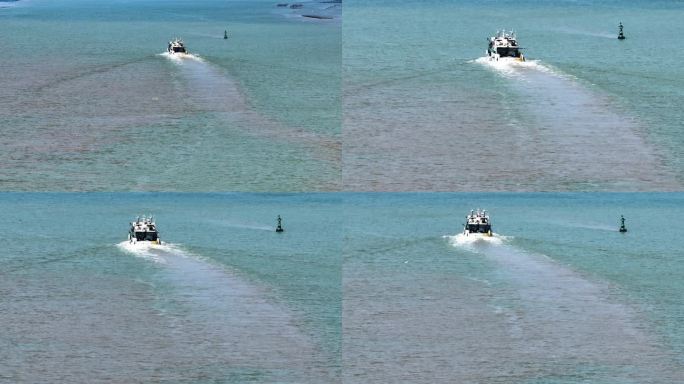 航拍白海豚畅游九龙江入海口