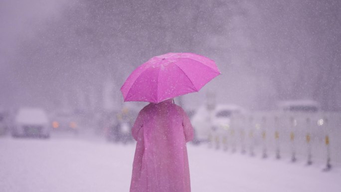 大雪中粉色雨伞 远去的背影