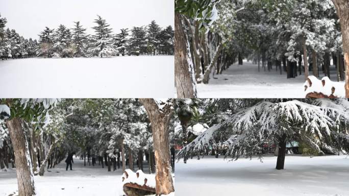 雪景 立冬 小雪 大雪 冬至 小寒 大寒