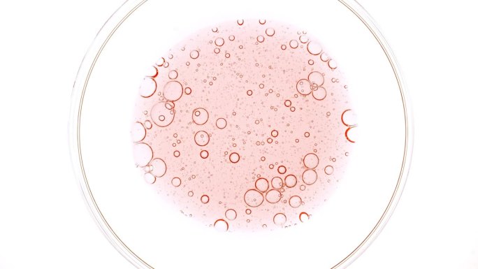 透明化妆品粉红色凝胶流体与分子气泡油扩散在培养皿中。天然有机化妆品、药品微距拍摄。生产特写。慢动作