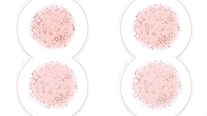 透明化妆品粉红色凝胶流体与分子气泡油扩散在培养皿中。天然有机化妆品、药品微距拍摄。生产特写。慢动作