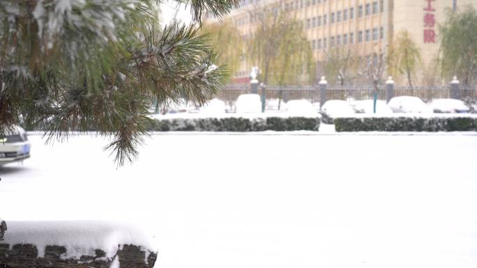 城市大雪出行 石家庄雪景  雪天出行