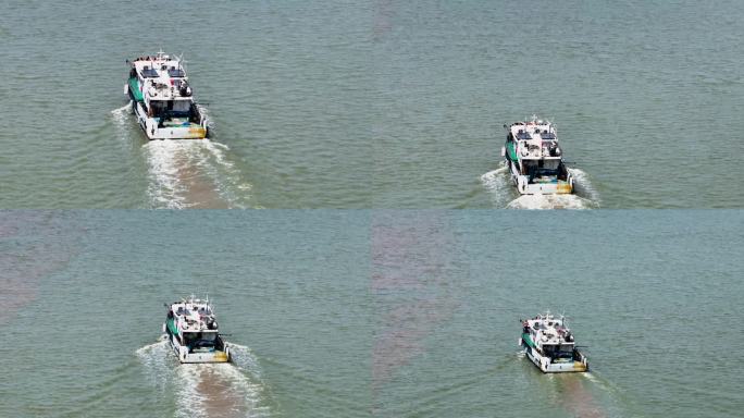 航拍白海豚畅游九龙江入海口