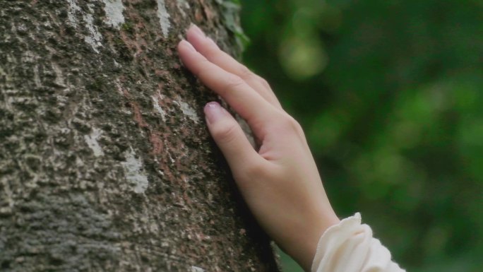 女孩抚摸树干树皮亲近大自然