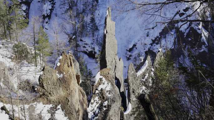 冬季长白山山坡树木积雪空镜2