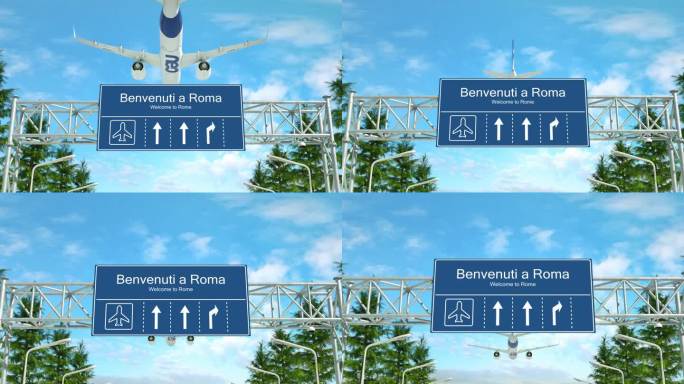 飞机降落意大利罗马国际机场