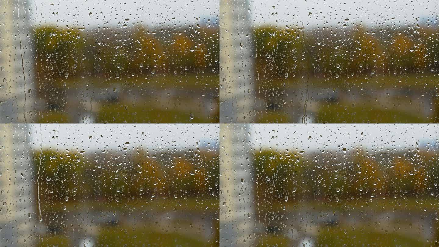 从一所房子的窗户看，雨滴在雨中落在窗户玻璃上，背景是城市里一片黄色的秋天森林。秋天结束了。阴天，文本