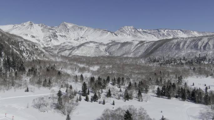 冬季长白山树林雪山空镜