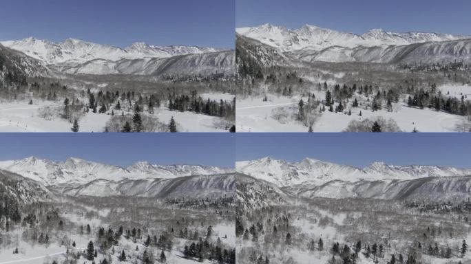 冬季长白山树林雪山空镜