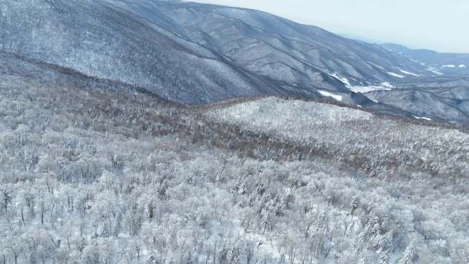 雪景